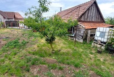 Casa 2 camere cu suprafata 50mp si teren 1300mp,in Miercurea Sibiului - 16