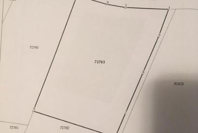 Teren de 5250 mp, în Pădureni (Chinteni) - 1