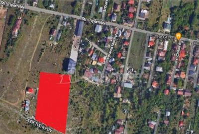 Teren 10.000 mp Giurgiului Tiparnitei - 5