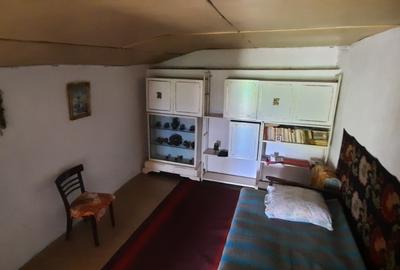 De vânzare fostă cramă 2000p teren, 224 mp construcție - 3