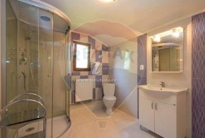 Vila/Casa de vacanta la munte (D+P+E+M) - Prahova - Provi... - 11