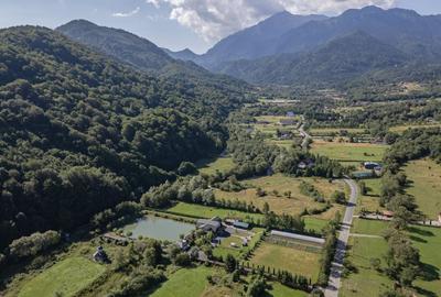 Casă individuală cu 8 camere cu Teren 10000 Mp în Glăjărie - 3