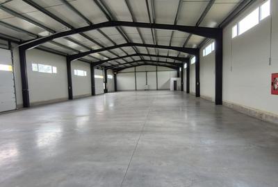 Hala industriala  in zona Aurel Vlaicu - 4