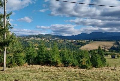 Teren Construcții extravilan de 10450 mp, în Tiha Bârgăului - 5