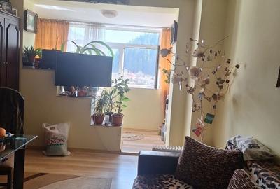 Apartament cu 2 camere decomandat în Broșteni - 3
