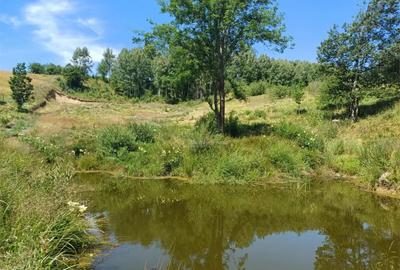 Teren de 4500 mp, în Brebu - 5