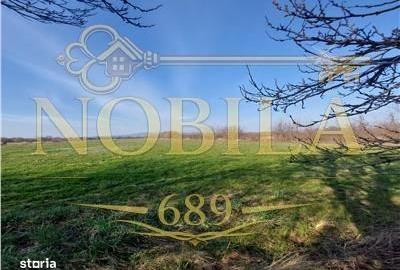 Spațiu comercial, în Central - 3