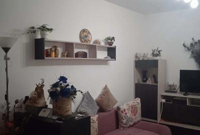 Studio cu gradina zona Aparatorii patriei - 2