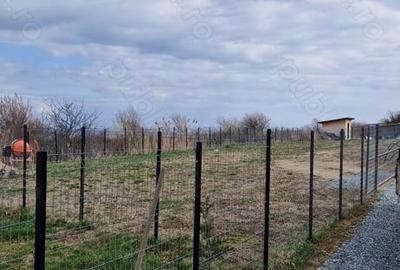Teren de 800 mp, în Făget - 3