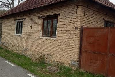 Casă cu 4 camere cu Teren 2885 Mp în Criștioru de Jos - 7