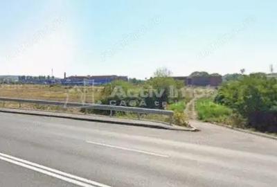 Teren de 4654 mp, în Centură - 3