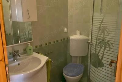 Casă cu 5 camere cu Teren 11378 Mp în Mihai Viteazu - 3