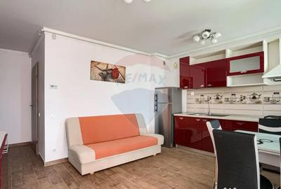 Garsonieră semidecomandată în Banu Mărăcine - 8