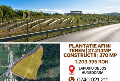 Spațiu comercial, de 370 mp, în Lăpugiu de Jos - 5