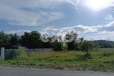 Teren Construcții intravilan de 712 mp, în Costești - 3
