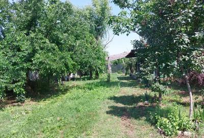 Teren de 1500 mp, în Frumușani - 7