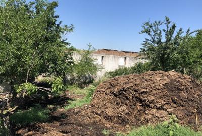 Teren investiție, de 9,795 mp, în Rădoiești - 7