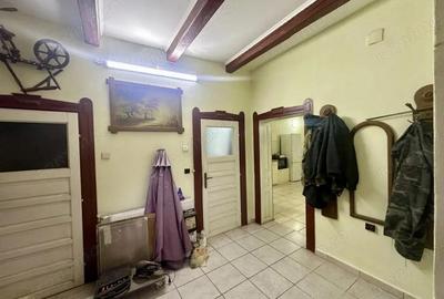 Proprietate mixta de vanzare locuin?a + hala Ta?nad, SM - 1