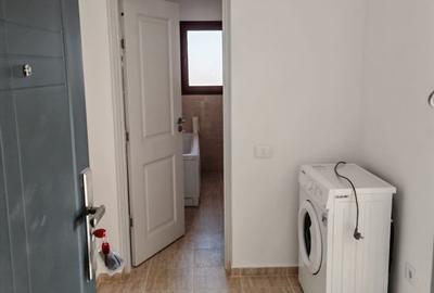 Casă cu 2 camere în Vișan - 8