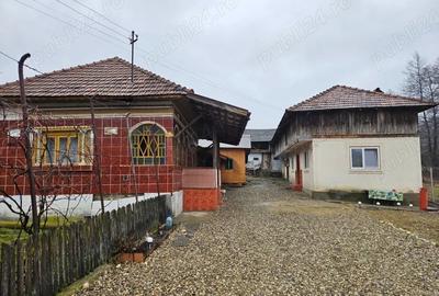 Casă cu 3 camere în Mihăești - 1