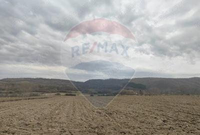Teren de 11900 mp, în Fârdea - 8