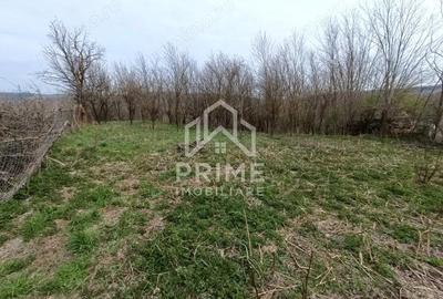 Teren de 1295 mp, în Straja - 2