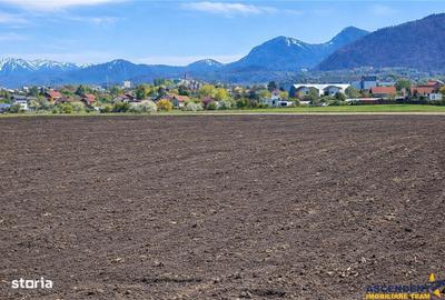 Teren de 49906 mp, în Bartolomeu