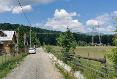 Teren intravilan de 5000, plat, orizontal la poalele muntelui, pe malul Doftanei - 2