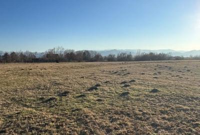 Teren agricol extravilan de 2400 mp, în Cristian - 1