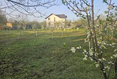 Casă cu 5 camere cu Teren 2200 Mp în Tăriceni - 4