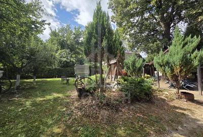 Teren deosebit cu cabana din lemn, Tocile loca?ie lini?tita - 11