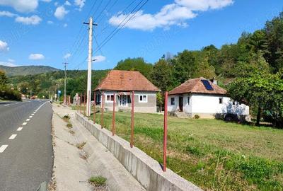 Vand casa in Valisoara - 1