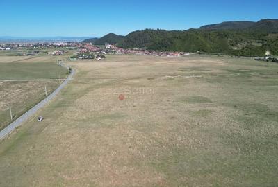 Teren extravilan Rasnov - 4