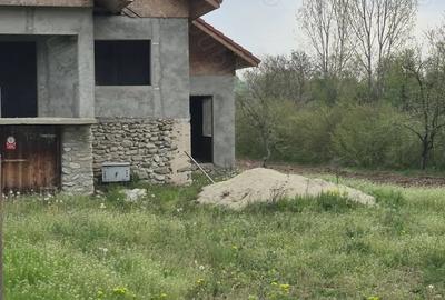 Casa se vanzare, comuna Balesti, sat Cornesti - 7