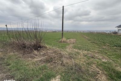 Spațiu comercial, în Grănicești - 8