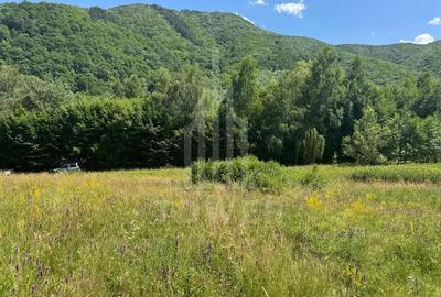 Teren intravilan 4600mp - 55 EUR/mp - EXCLUSIVITATE CISNADIOARA - COMISION 0% - 9