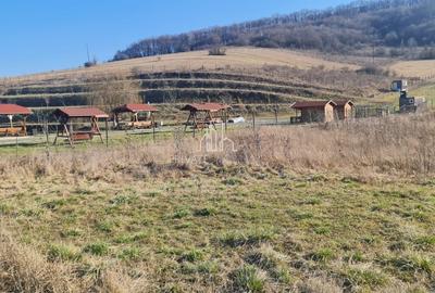 Teren 1000 Mp Intravilan De Vanzare, Langa Lac, Ivanesti - 4