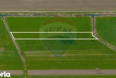 Teren de 4000 mp, în Prejmer