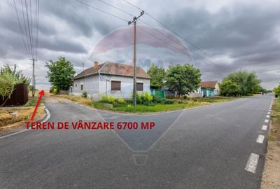 Teren de vânzare cu potențial construibil 6,700mp Variasu Mare - 2