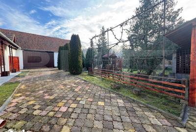 Casă cu 4 camere cu Teren 2000 Mp în Beriu - 5