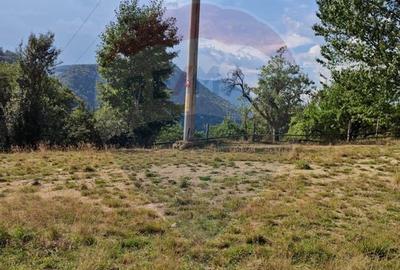 Teren 5,174mp Bran / Strada Colibasilor la 800 m de centrul Branului - 5