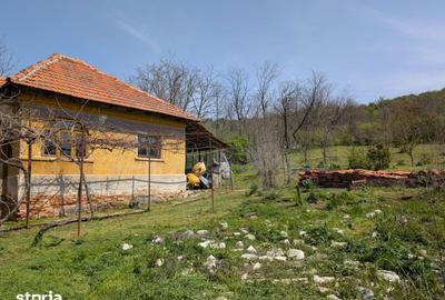 Teren de 1500 mp, în Șimnicu de Sus - 3