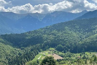 Teren Bran- zona Simon 10283 mp , Balaban, Brasov