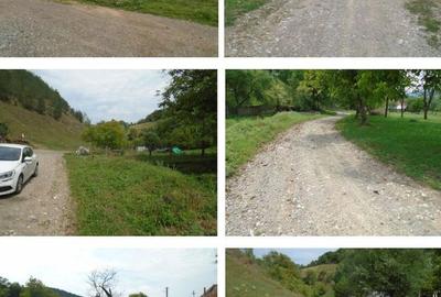 Teren de 2825 mp, în Roșcani - 5