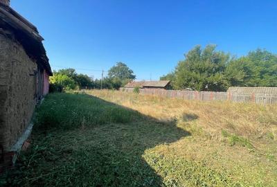 Casă cu 3 camere în Radovan - 12