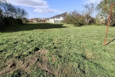 Casă individuală cu 3 camere cu Teren 1826 Mp în Sânandrei - 3