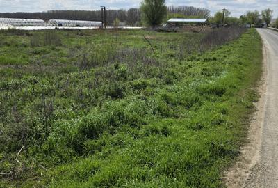 Spațiu comercial, în Dunărea - 7