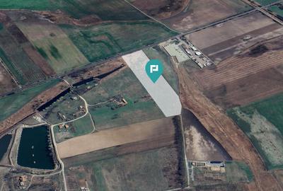 Teren agricol extravilan de 50000 mp, în Exterior Vest - 4