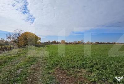 Teren de 1400 mp, în Răzvad - 1