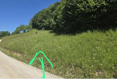 Teren de 928 mp, în Valea Inzelului